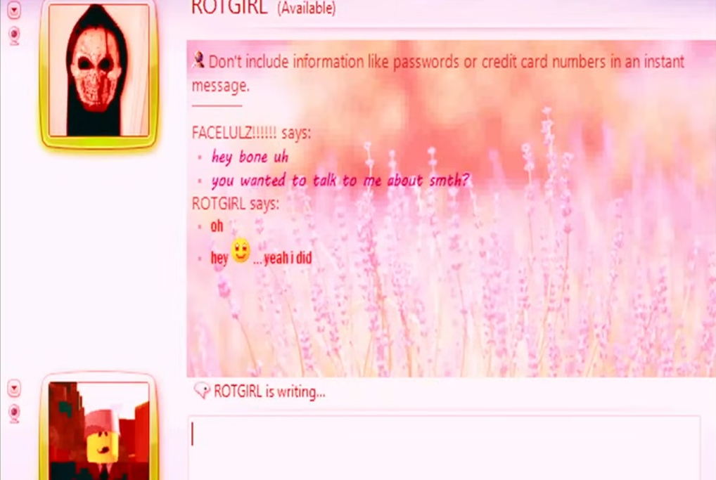 Screenshot from IHasAFaceLULZ of the protagonist FaceLULZ and their friend Bone messaging on a distorted chat site.